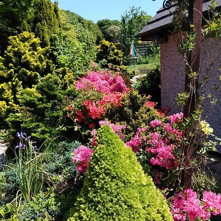 Bed & Breakfast Ashtree *
